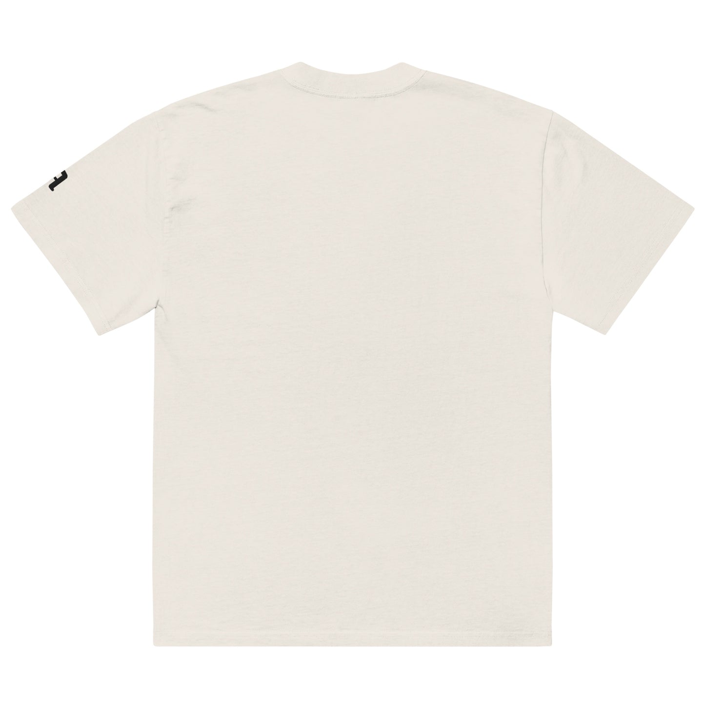 Faded Oversized ÂME Tee